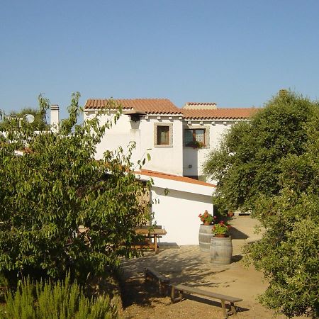 Agriturismo Vermentino Monti Esterno foto