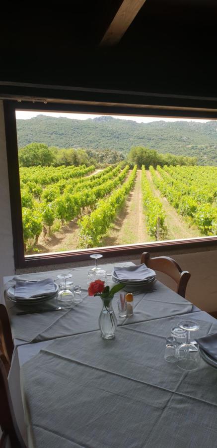 Agriturismo Vermentino Monti Esterno foto