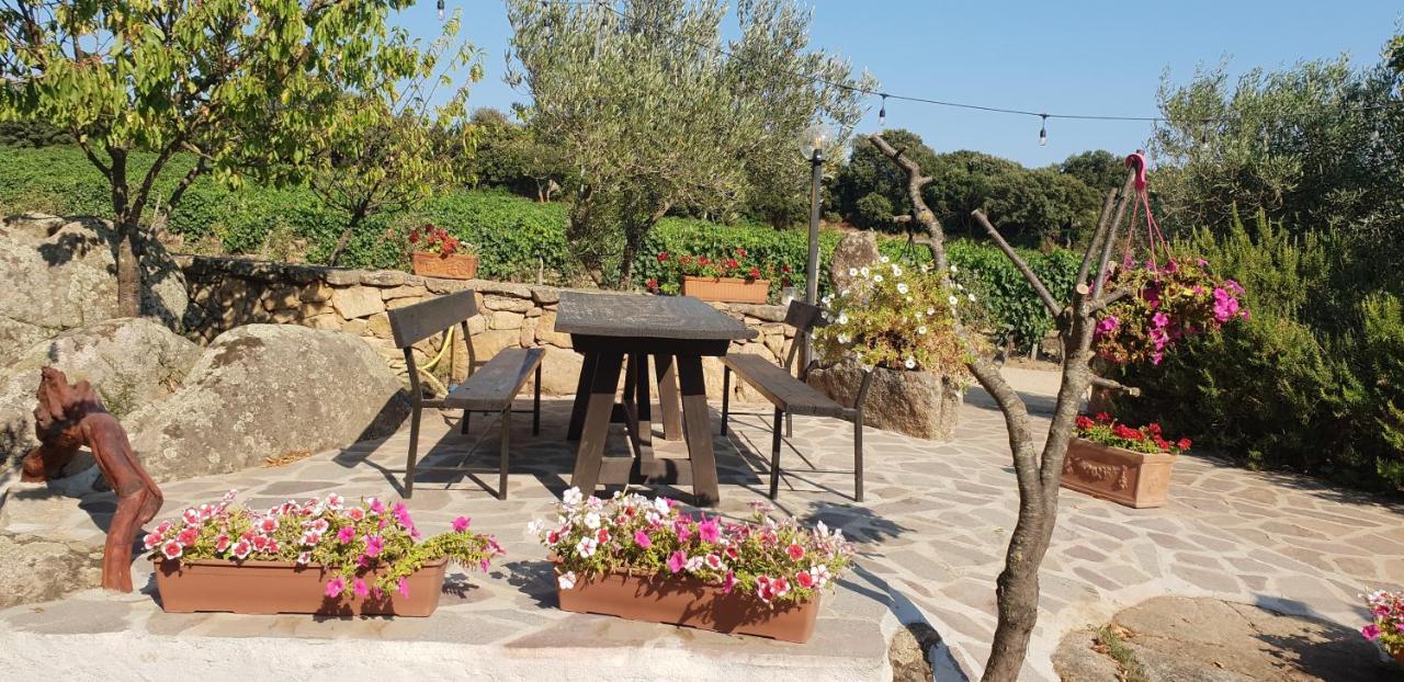 Agriturismo Vermentino Monti Esterno foto