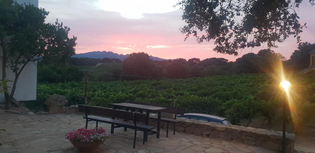 Agriturismo Vermentino Monti Esterno foto